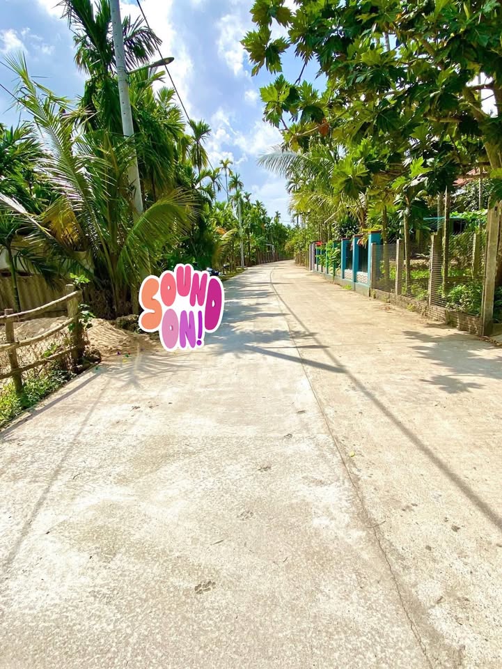 Đất nền Duy Vinh, Quảng Nam - 210m² view lúa, 5 phút đến Phố Cổ Hội An