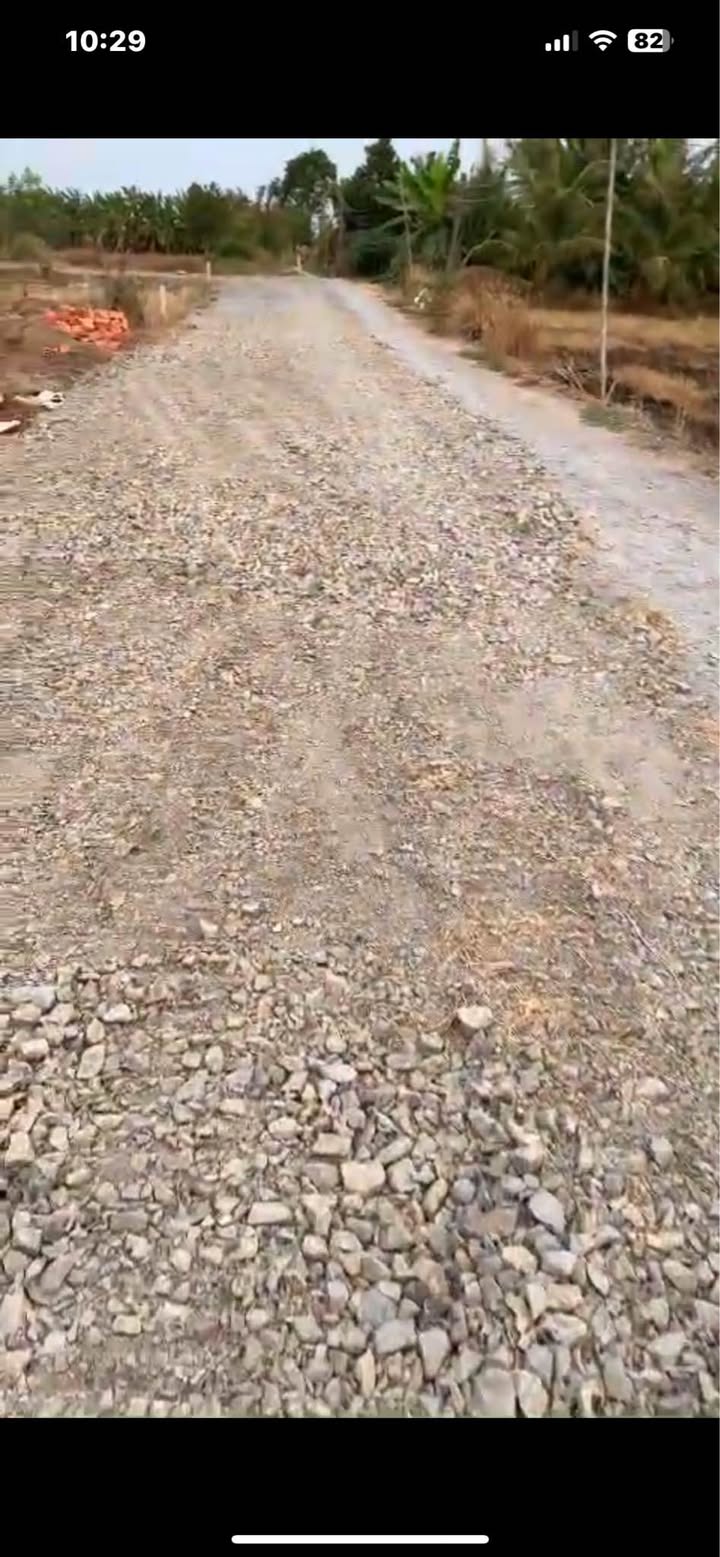 Đất nền 3886m² Xã Tân Lân, Cần Đước - Tiềm năng tăng giá vượt trội!