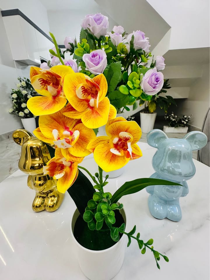 Nhà 35m² Lạch Tray, Lê Chân - 1.9 Tỷ, Sổ Đỏ, Vị Trí Đắc Địa