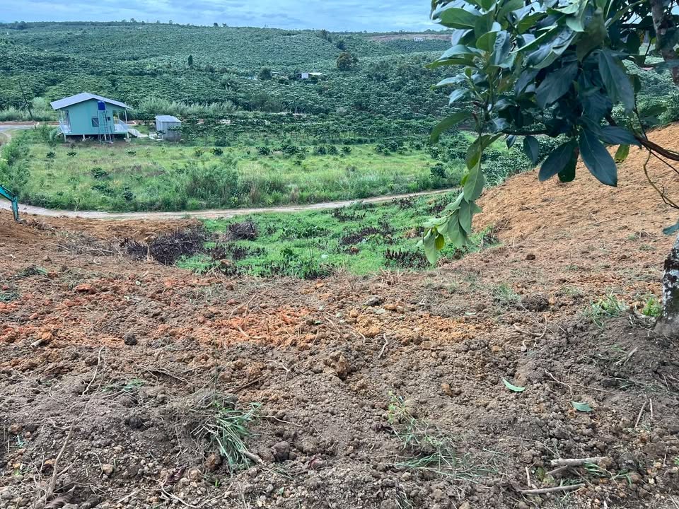 Đất Nền 936m² Bảo Lâm, Lâm Đồng - Sổ Đỏ, Giá Ngộp 1.3 Tỷ