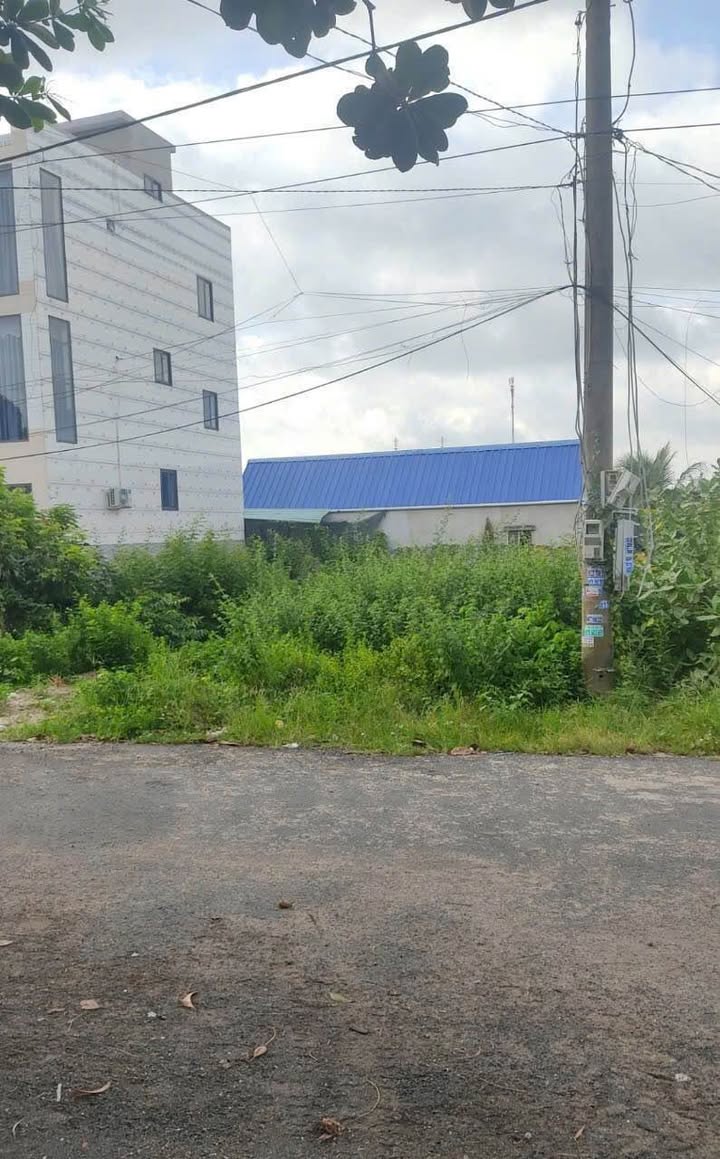 Đất nền Lộc An, Đất Đỏ 142m² - Sổ đỏ chính chủ, bán gấp!