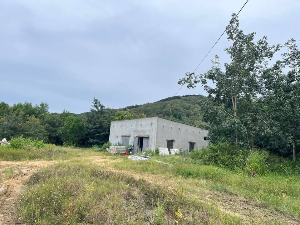 Bán 3.3ha đất vườn Sùng Nhơn Đức Linh - Đầu tư dài hạn