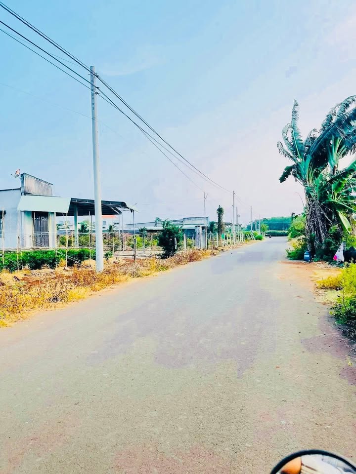 Bán Đất Vàng 1000m² Xuyên Mộc, BR-VT - Sổ Đỏ Sẵn Sàng