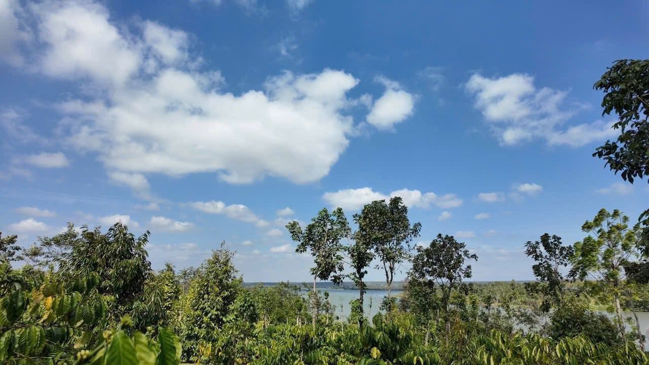 Bán Gấp Farm 3.5 Sào Buôn Jông, Đắk Lắk - Chỉ 1.4 Tỷ