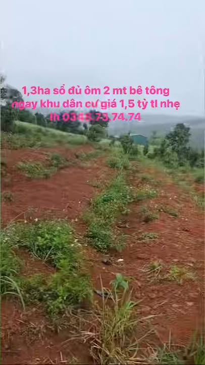 Đất nền Đắk Búk So 13000m² - Sổ đỏ chính chủ, tiềm năng sinh lời!