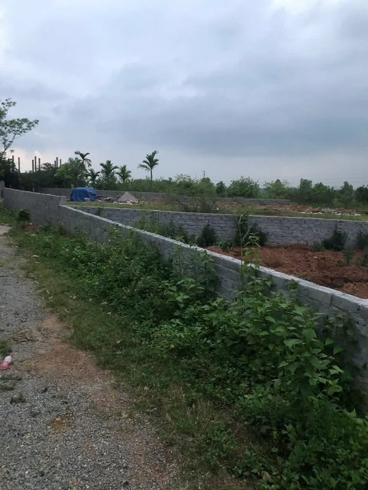 Đất Nền Rộng 1065m² Quốc lộ 12B, Ninh Bình - Sổ Đỏ, Sẵn Sàng Xây Dựng