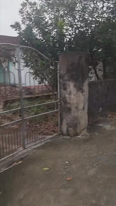 Đất nền Tống Sơn 1500m² - Sổ đỏ chính chủ, view hồ sinh thái