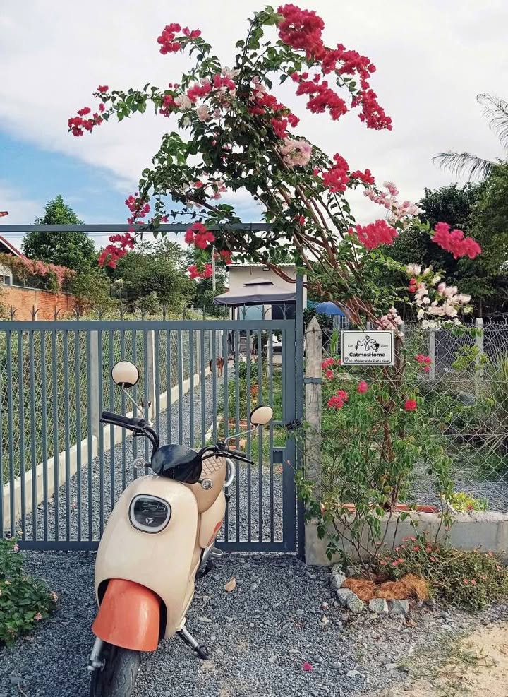 Bán Gấp Nhà Vườn An Nhơn Tây 140m² - Sổ Đỏ Full Thổ Cư