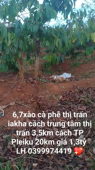 Đất vườn Iakha 2412m² chỉ 1.3 tỷ - Đầu tư dài hạn!