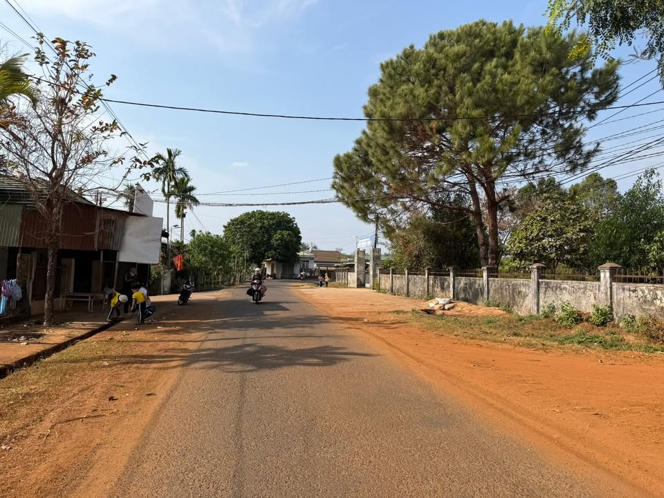 Đất nền Ia Grai, Gia Lai: Sổ sẵn, giá chỉ từ 230 triệu - Tặng vàng khi chốt cọc