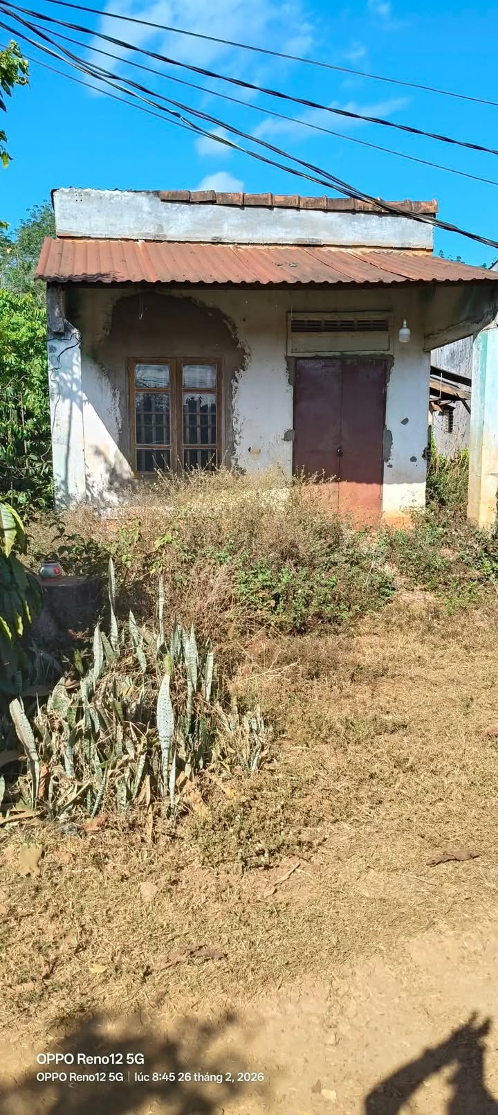 Bán Đất Xã Gào, Pleiku 500m² Giá 230 Triệu - Lập Nghiệp Ngay!