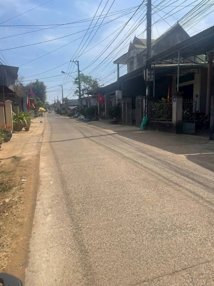 Đất nền Nguyễn Văn Nghi Quận 1 216m² - Sổ đỏ chính chủ, tiềm năng vàng!