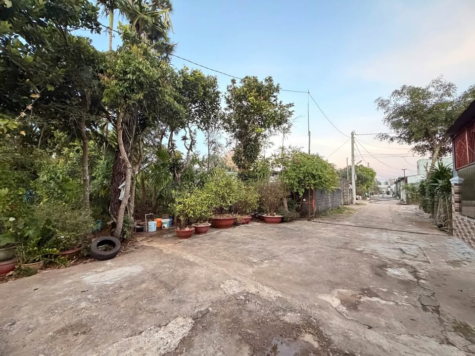 Đất nền Gò Vấp 125m² - Sổ đỏ chính chủ, tiềm năng 2 mặt tiền!