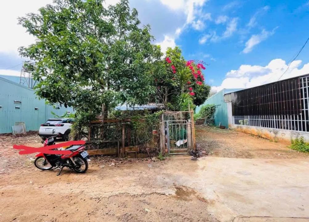 Đất nền Hẻm Huỳnh Thúc Kháng Pleiku 120m² - Sổ đỏ chính chủ!