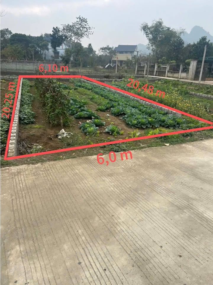 Đất nền Hàng Trạm, Yên Thủy 122.5m² - Sổ đỏ chính chủ!