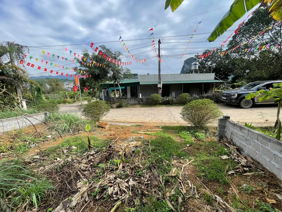 Bán Đất Nền 210m² Full Thổ Cư, Cạnh Trường Học - Hòa Bình