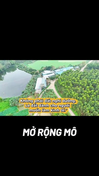 Đất vườn Tam Đảo 14895m² - Nghỉ dưỡng lý tưởng