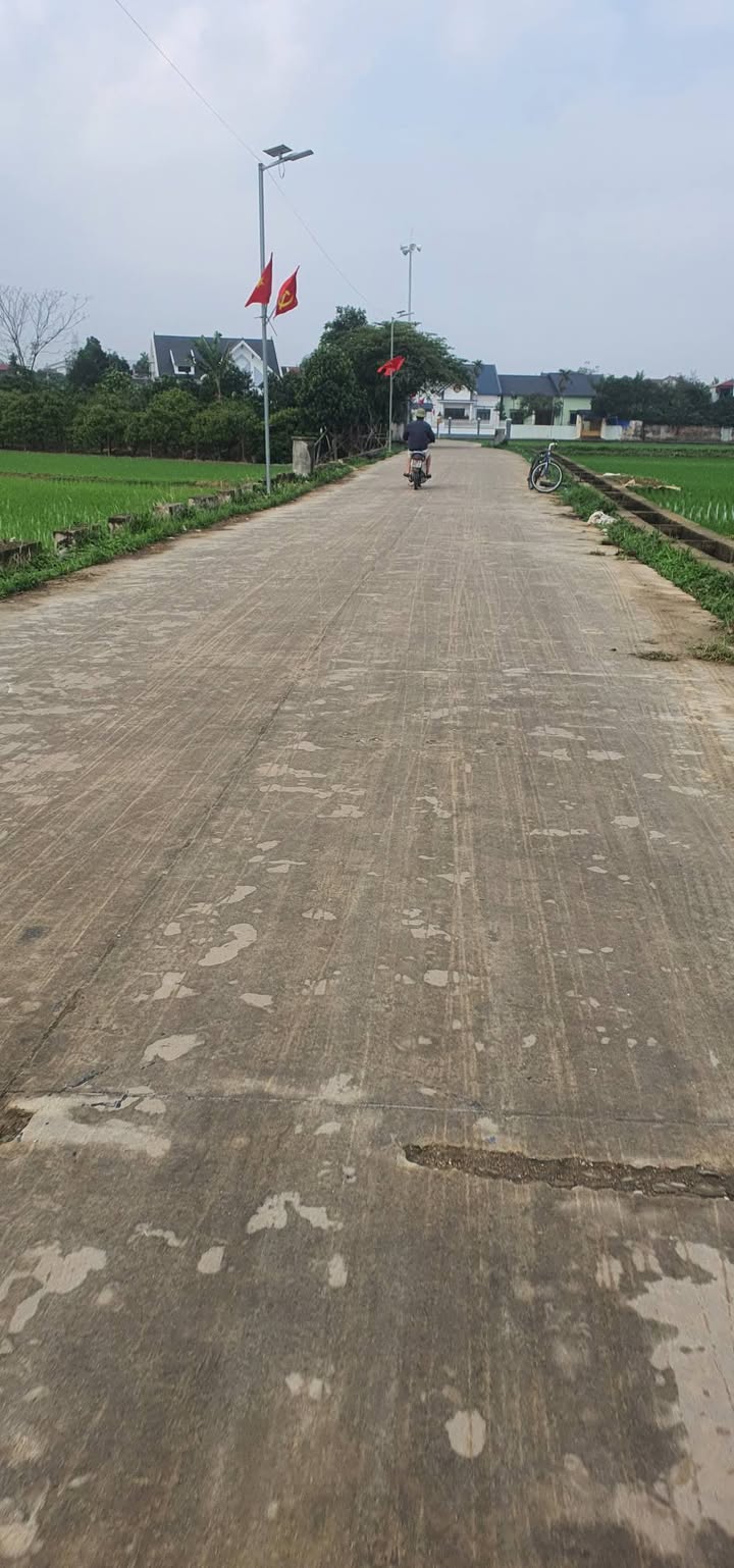 Đất Nền Xuân Sơn Sơn Tây 89m² - Đường To Ô Tô Vào Tận Đất!