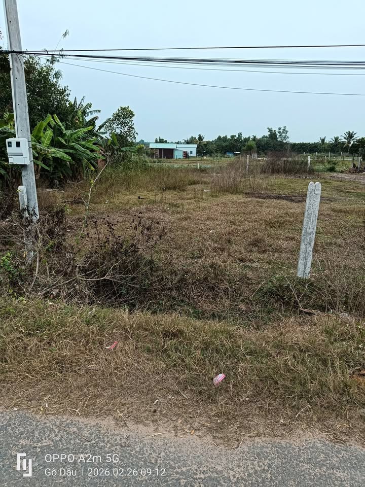 Bán Đất Gò Dầu 170m² - Sổ Hồng Sẵn, Gần KCN Hiệp Thạnh