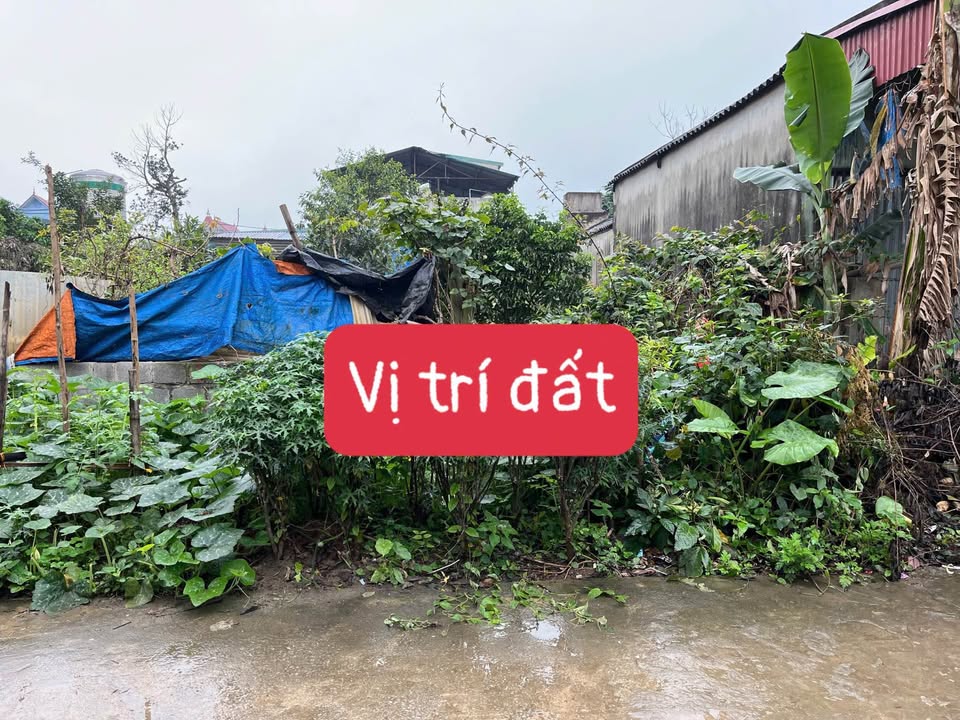 Bán Đất Mỹ Đức 112.5m² - Sổ Đỏ Sẵn Sàng, Vị Trí Đắc Địa