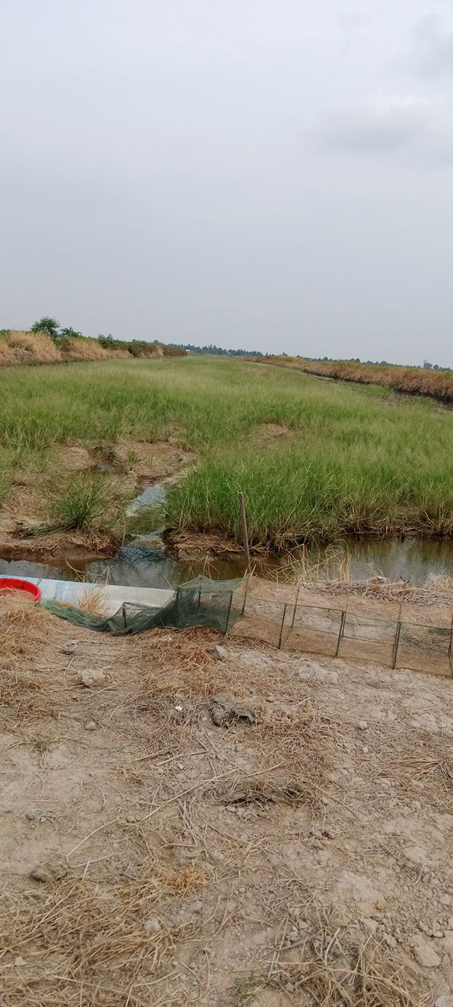 Đất nền An Minh, Kiên Giang 28.000m² – Tiềm năng tăng giá vượt trội!