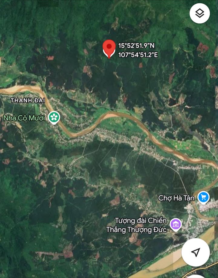 Đất Rừng Đại Lộc 16.000m² - Giá Đầu Tư 185 Triệu