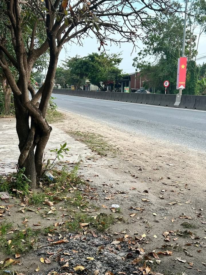 Bán Đất Mặt Tiền QL1A Thăng Bình 1100m² Giá 4 Tỷ - Vị Trí Đắc Địa!