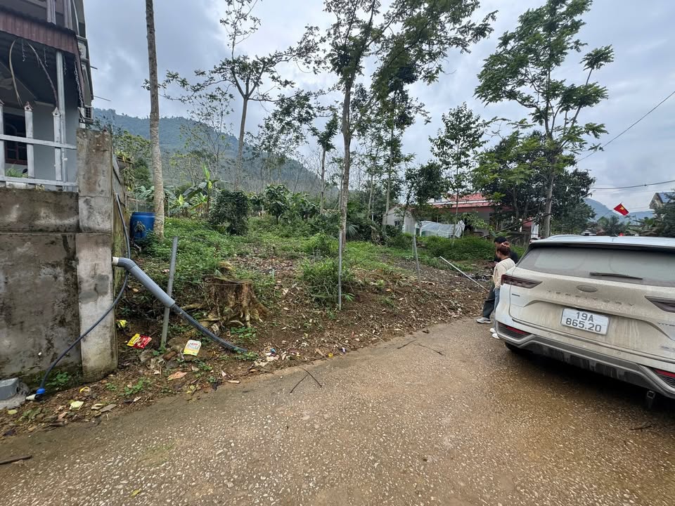 Đất Thu Cúc Tân Sơn 1900m² thỏa thuận - Sổ đỏ chính chủ