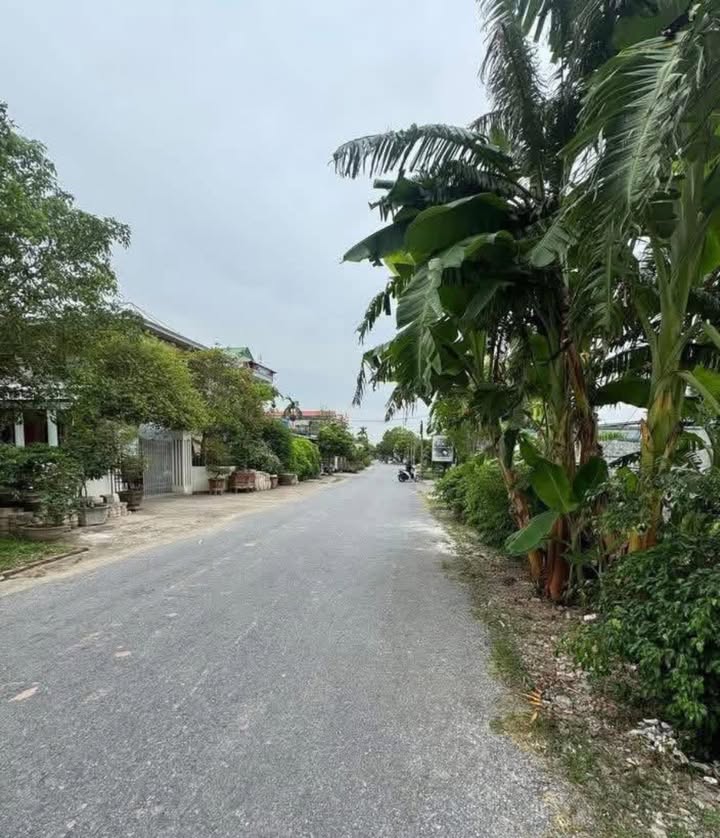 Đất nền Đông Trà, Tiên Lữ 121m² – Sổ đỏ chính chủ, sang tên ngay!