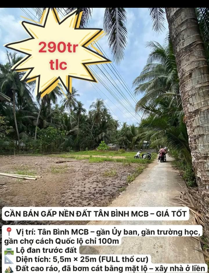 Bán Đất 159m² Xã Tân Bình, Mỏ Cày Bắc, Bến Tre - Sổ Sẵn