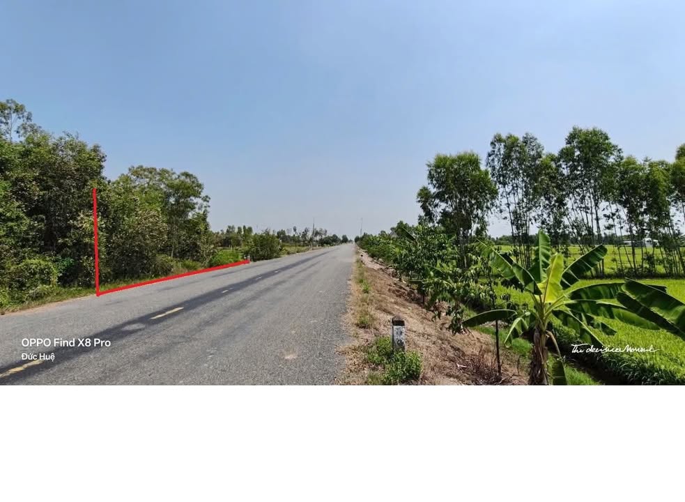 Đất nền Đức Huệ Long An 1213m² – Sổ đỏ chính chủ, mặt tiền TL 818