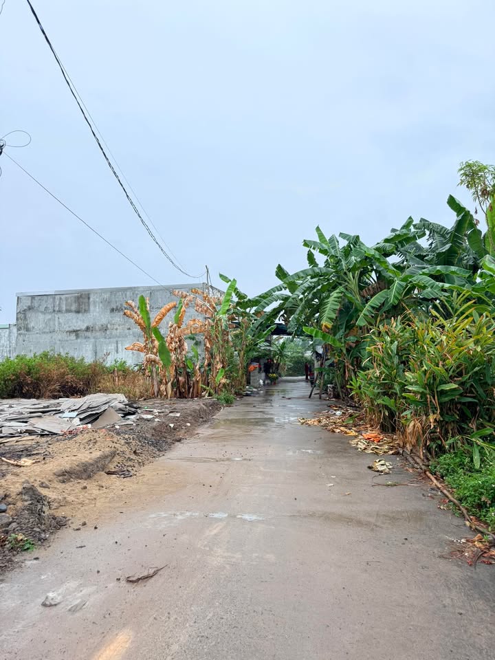 Đất nền Đồng Nai 100m² - Sổ đỏ đồng sở hữu, giá chỉ 4xx triệu