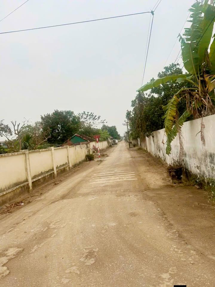 Đất thổ cư 125m² Xã Định Bình, Yên Định - Giá tốt, đường 8m thông thoáng