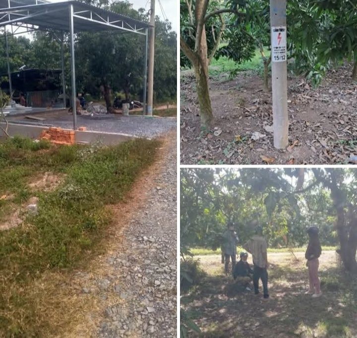 Đất Nền 185m² Mặt Tiền Đường 5m - Xã Tịnh Thới, Cao Lãnh, Đồng Tháp