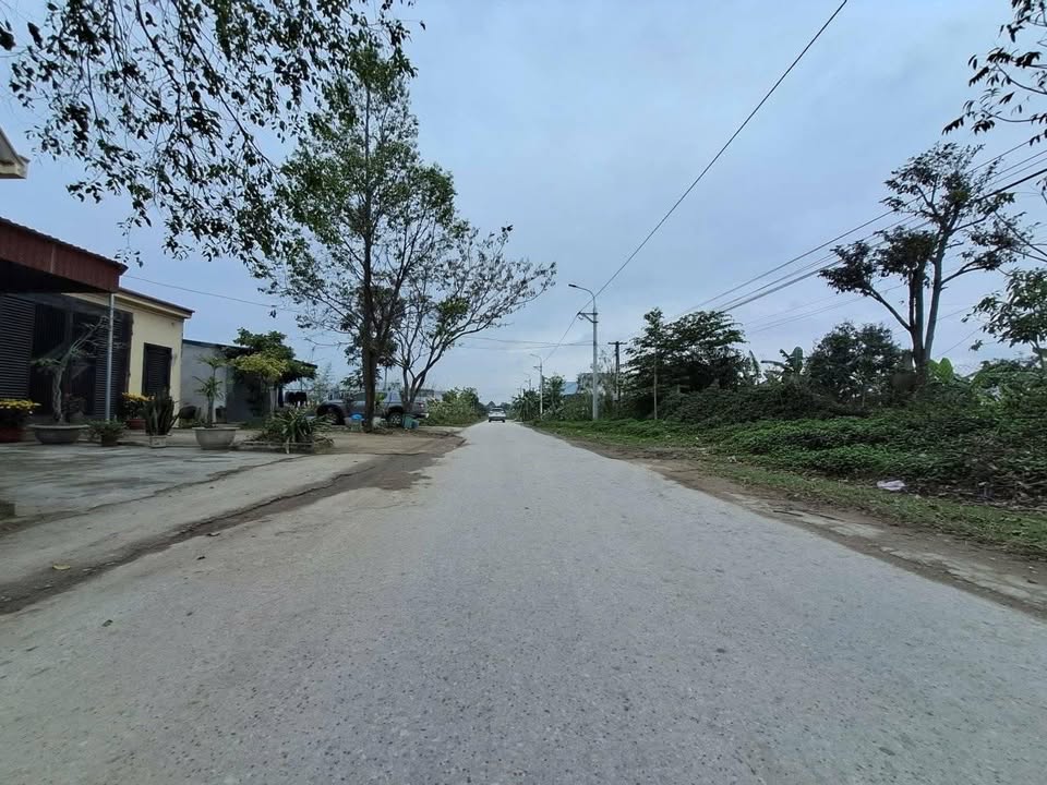 Đất nền 100m² - Sổ đỏ sẵn sàng giao dịch tại Đông Nghĩa, Thanh Hóa