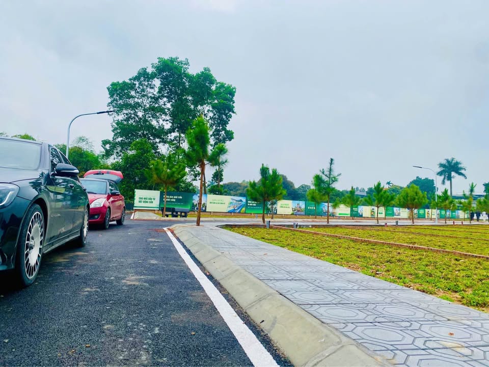 Đất nền Đồng Trạng Cổ Đông 100m² - Sổ đỏ chính chủ, đầu tư sinh lời!