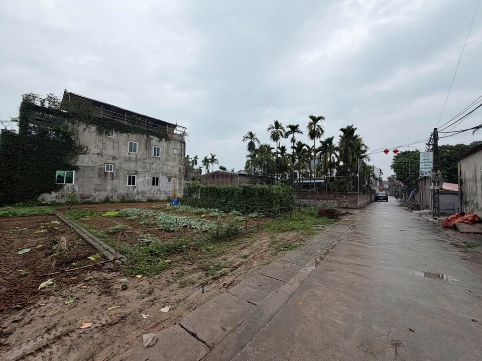 Đất nền Mỹ Đức 73.5m² sổ đỏ - Sẵn sàng xây nhà tại Hợp Thanh