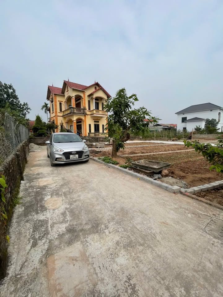 Đất nền Long Hưng Văn Giang 52m² - Đường to ô tô vào tận đất!