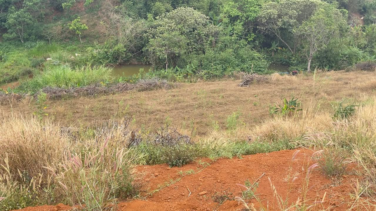 Đất nền Quảng Tín 2700m² – Đường ô tô rộng, tiềm năng tăng giá!