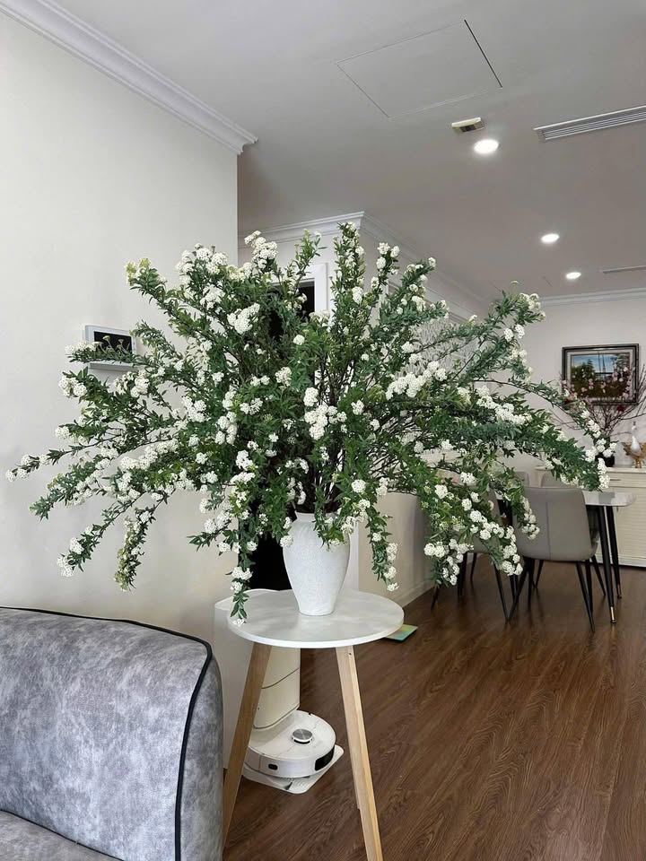 Căn hộ Lâm Viên Complex 82m² Cầu Giấy - Sẵn sàng vào ở!