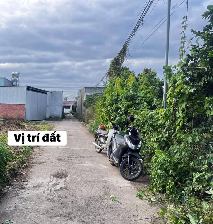 Đất Nền Phường Bảo Vinh, Long Khánh - Sổ Hồng Riêng, 175m² Giá 1.3 Tỷ