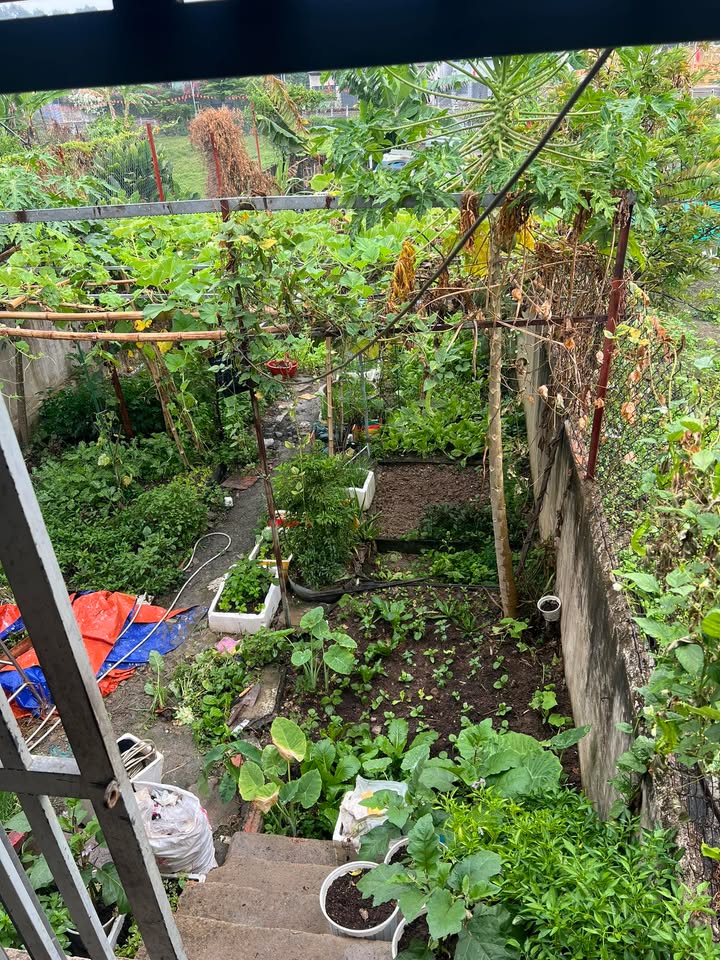 Bán Gấp Đất Vàng 6 Sào, Mặt Tiền 70m, KP4 Trảng Dài, Biên Hòa - 27.6 Tỷ