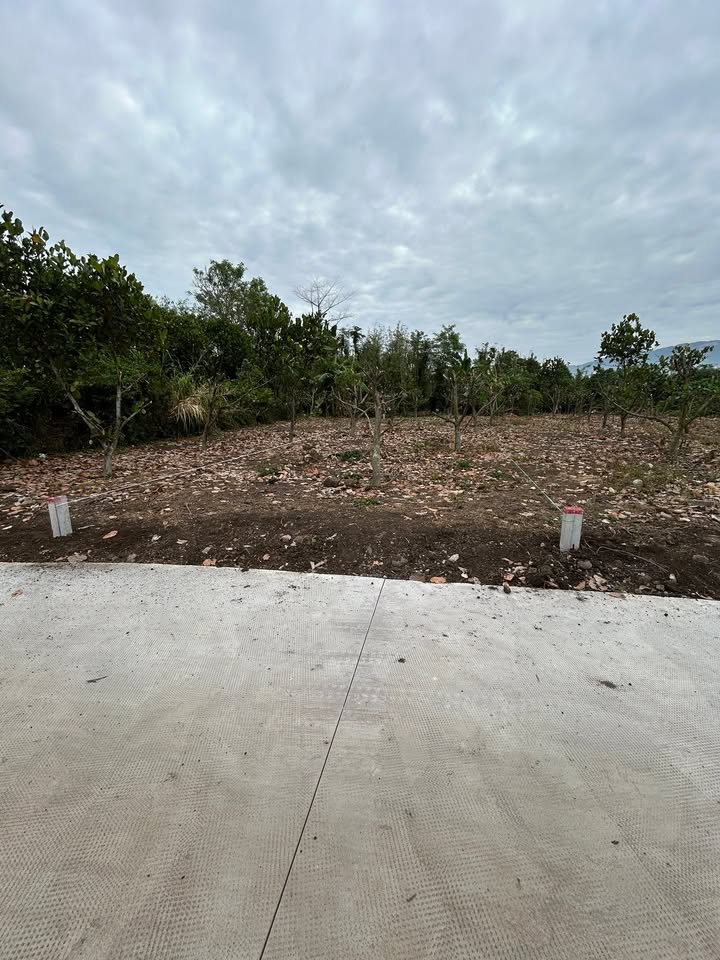 Đất Vàng Xuân Thọ - Thống Nhất, Đồng Nai: 250m² Thổ Cư, Sổ Đỏ, Giá Chỉ 520 Triệu