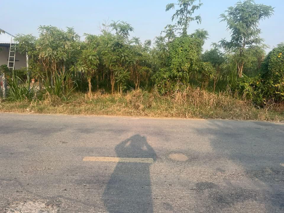 Đất Mặt Tiền HL02 Quận 2 - 566m² Gần KCN Gia Thuận, Giá Thỏa Thuận