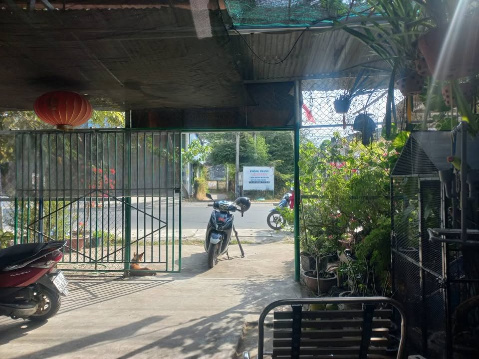 Nhà 168m² Thổ Cư Mặt Tiền QL28, Bắc Bình - Giá 1.8 Tỷ, Sẵn Sàng Dọn Vào Ở