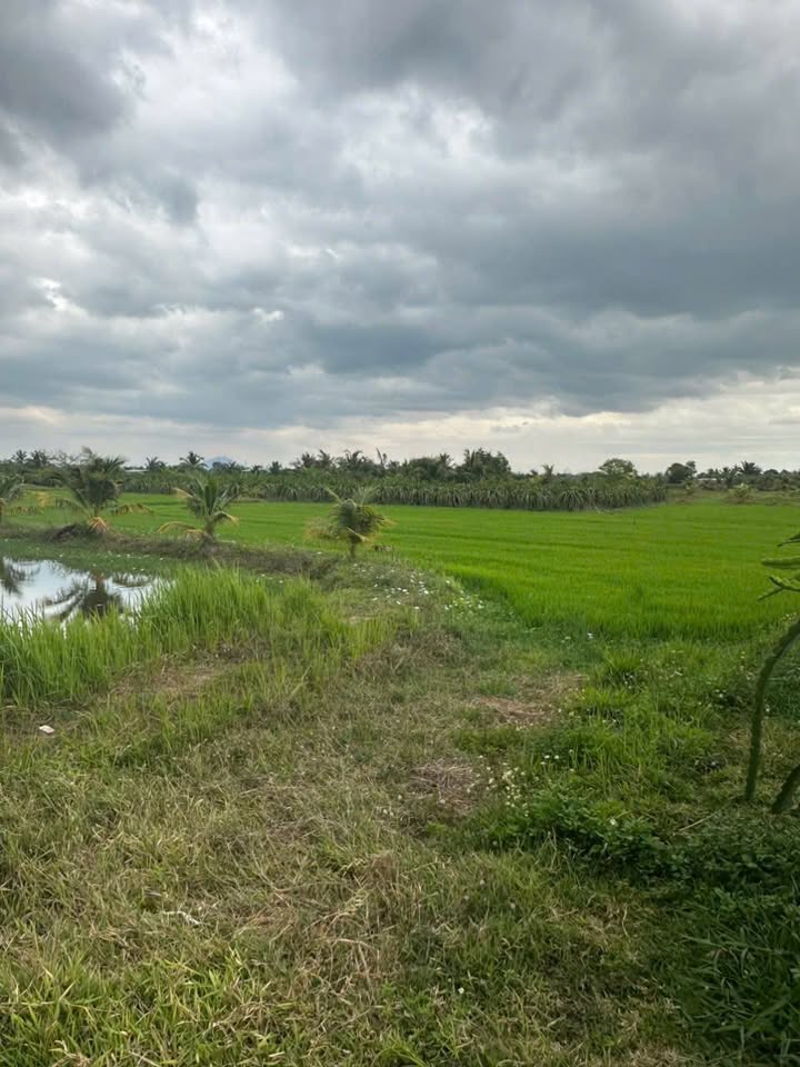 Đất nền Xã Hàm Liêm 10080m² - Đường to ô tô, tiềm năng sinh lời!