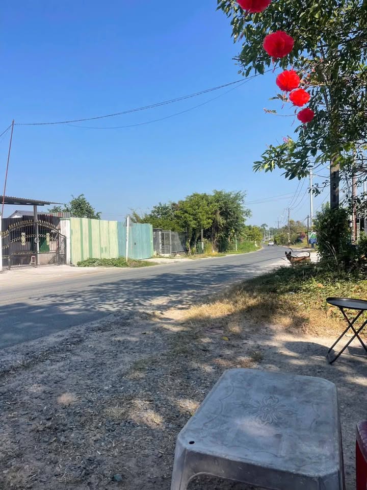 Đất nền Củ Chi 1600m² - Sổ đỏ chính chủ, đường lớn ô tô!