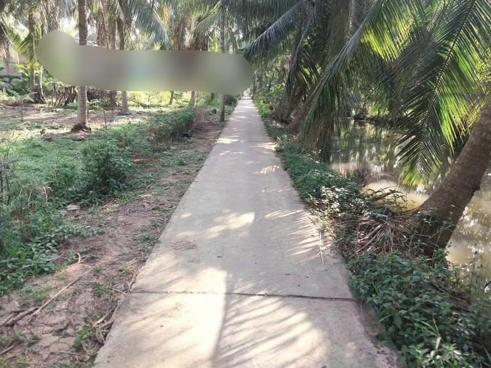 Đất nền Bến Tre 627m² - Sổ đỏ 300m² thổ cư, giá 380 triệu