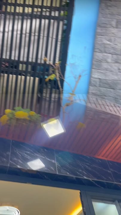 Nhà Riêng Đường Tân Mỹ, Q7 32m² 4.35 Tỷ - Sẵn Sàng Ở Ngay!