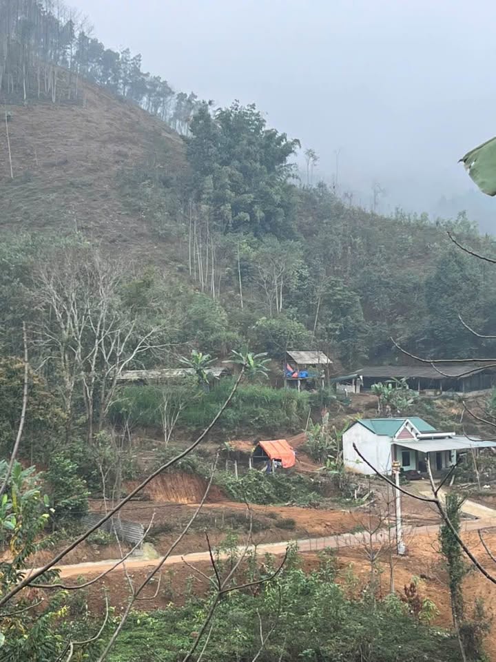 Đất Nền Tân Phú, Đồng Nai - 137m² Sổ Đỏ, Chỉ 350 Triệu - Cực Tiềm Năng